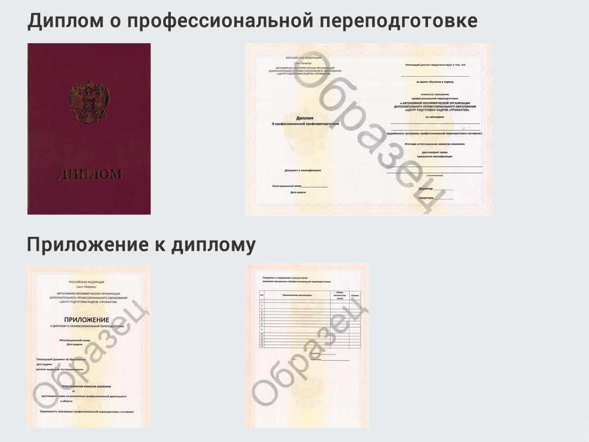  Профессиональная переподготовка по направлению «Охрана труда. Специальная оценка условий труда (СОУТ)» в г. Пугачёв