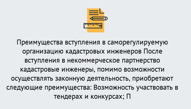 Почему нужно обратиться к нам? Пугачёв Что дает допуск СРО кадастровых инженеров?