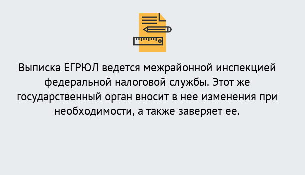 Почему нужно обратиться к нам? Пугачёв Выписка ЕГРЮЛ в Пугачёв ?