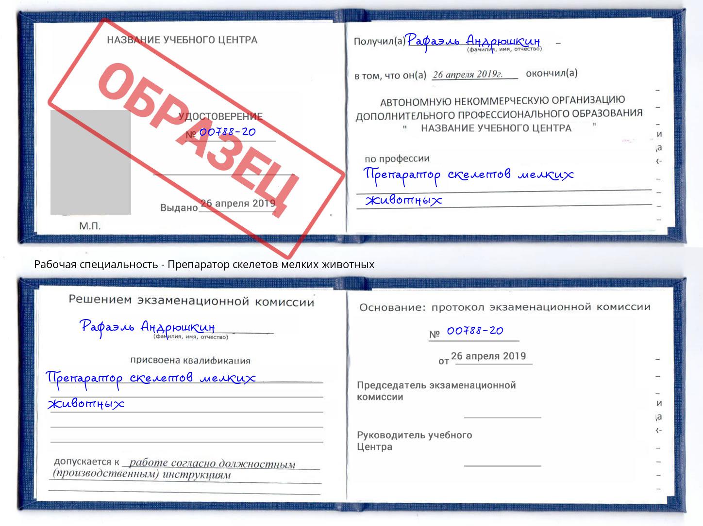 Препаратор скелетов мелких животных Пугачёв