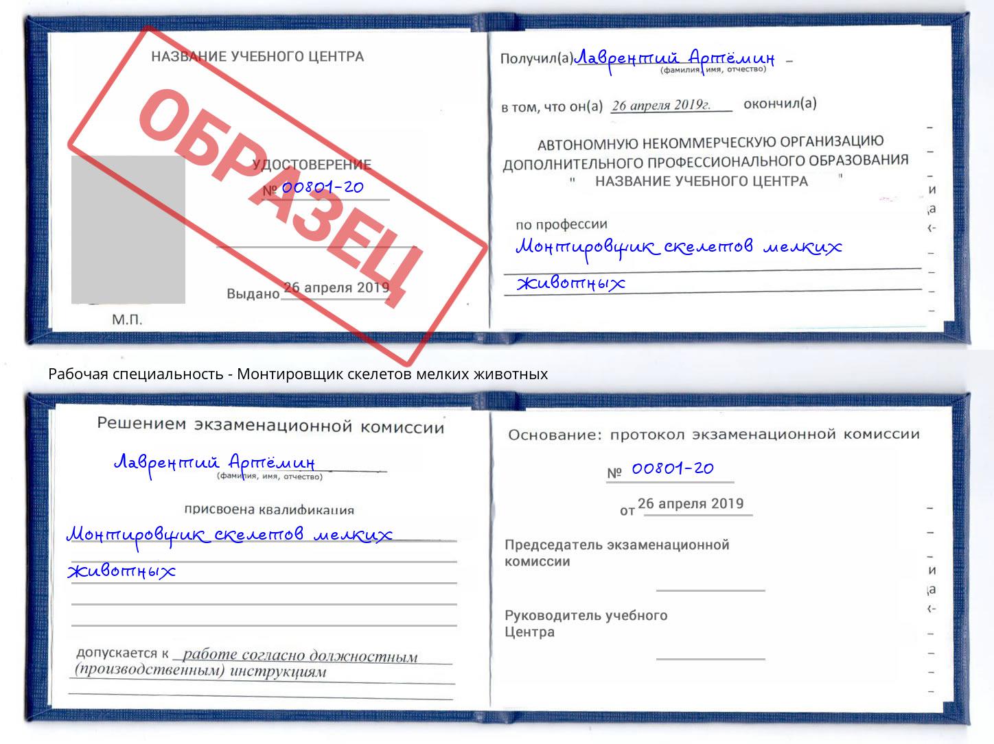 Монтировщик скелетов мелких животных Пугачёв
