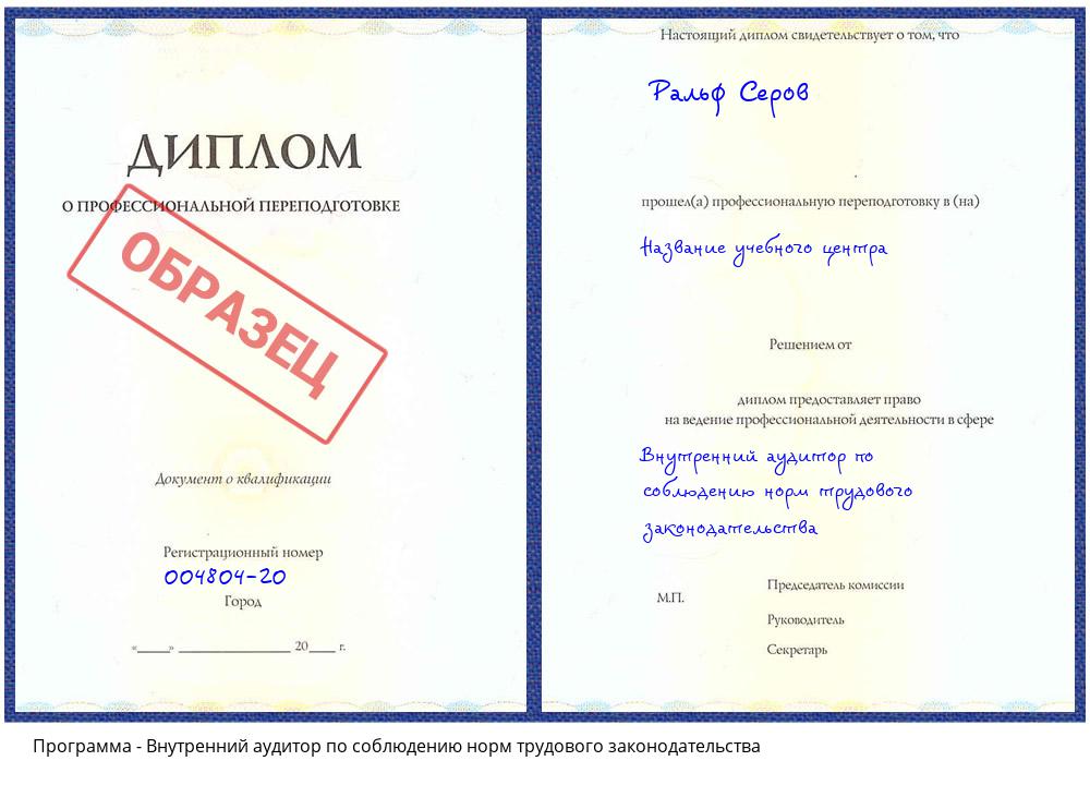 Внутренний аудитор по соблюдению норм трудового законодательства Пугачёв