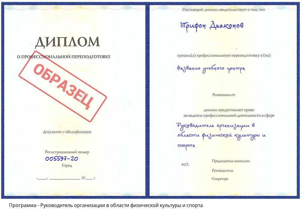 Руководитель организации в области физической культуры и спорта Пугачёв