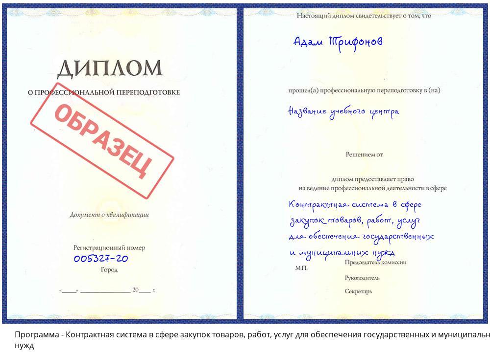 Контрактная система в сфере закупок товаров, работ, услуг для обеспечения государственных и муниципальных нужд Пугачёв