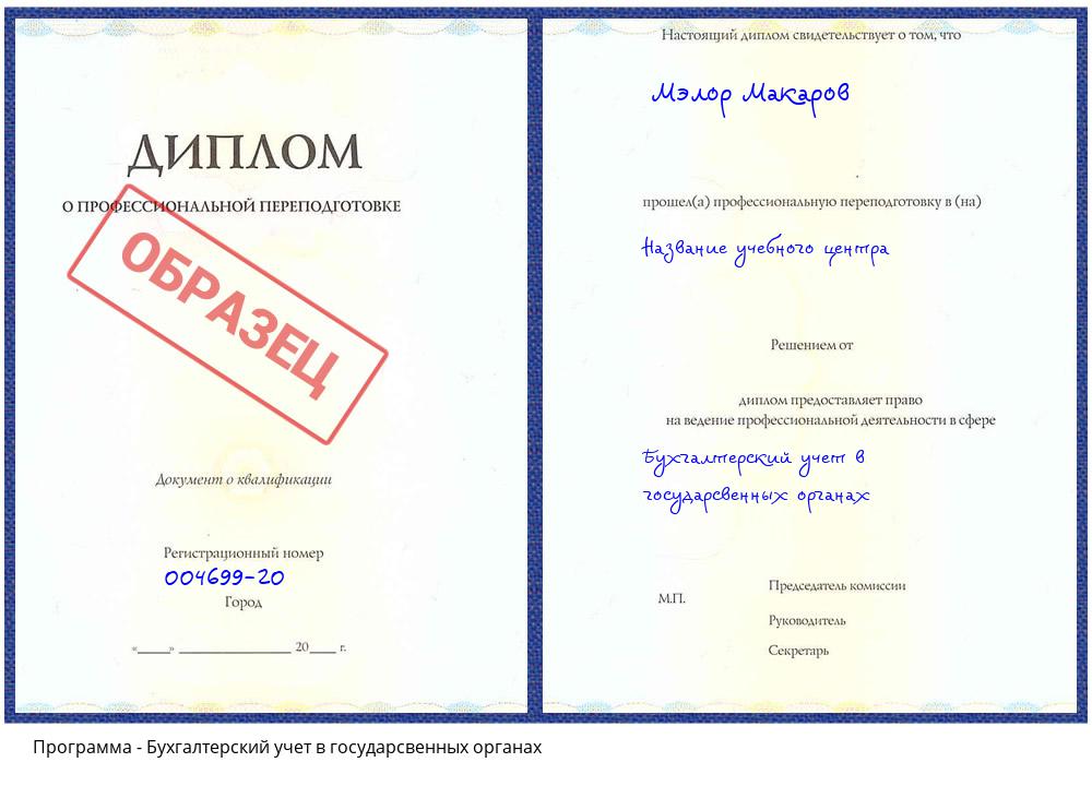Бухгалтерский учет в государсвенных органах Пугачёв