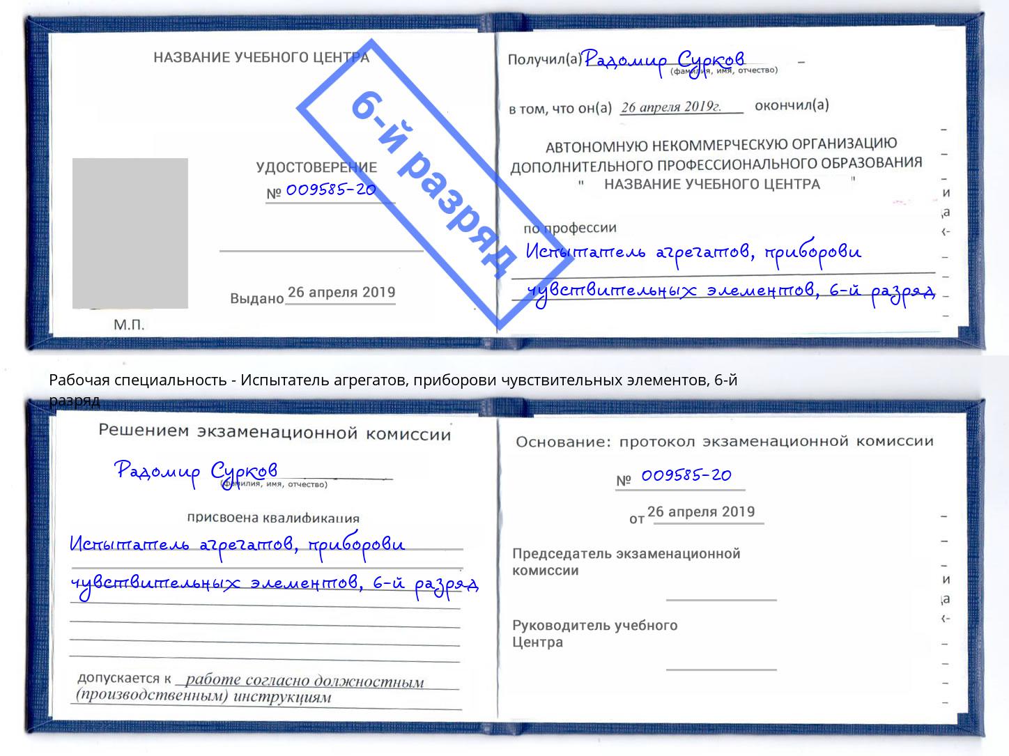 корочка 6-й разряд Испытатель агрегатов, приборови чувствительных элементов Пугачёв