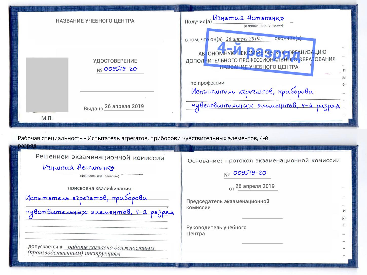 корочка 4-й разряд Испытатель агрегатов, приборови чувствительных элементов Пугачёв