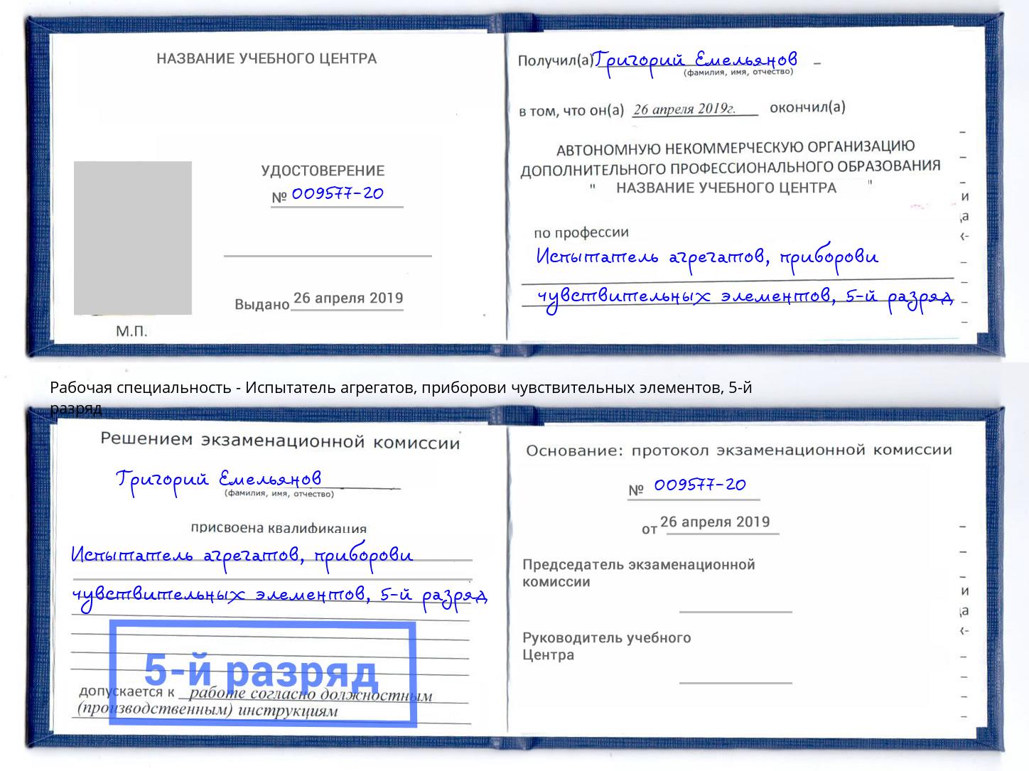 корочка 5-й разряд Испытатель агрегатов, приборови чувствительных элементов Пугачёв