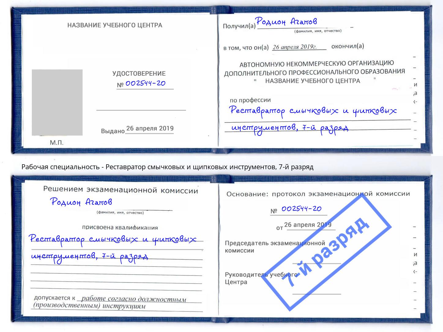 корочка 7-й разряд Реставратор смычковых и щипковых инструментов Пугачёв