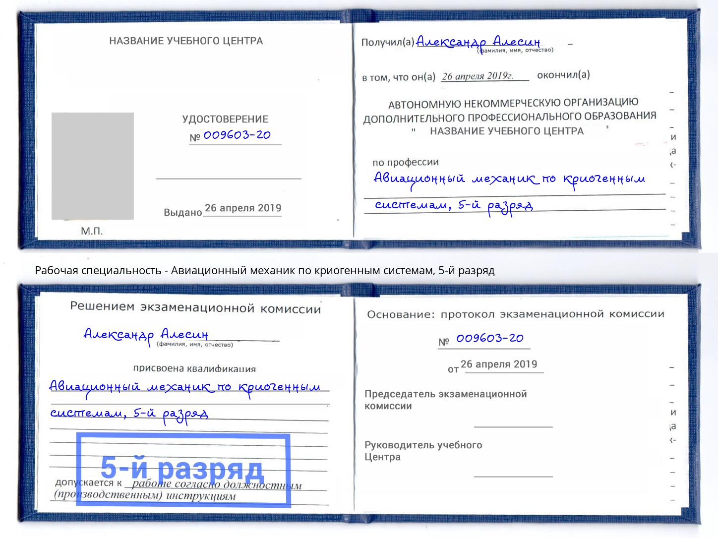 корочка 5-й разряд Авиационный механик по криогенным системам Пугачёв