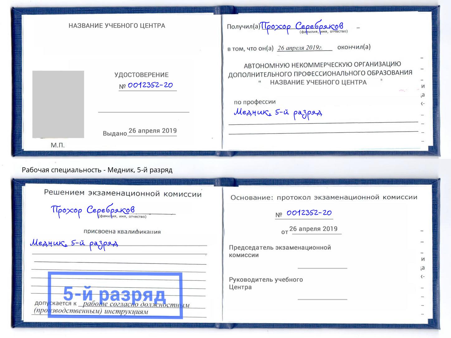 корочка 5-й разряд Медник Пугачёв