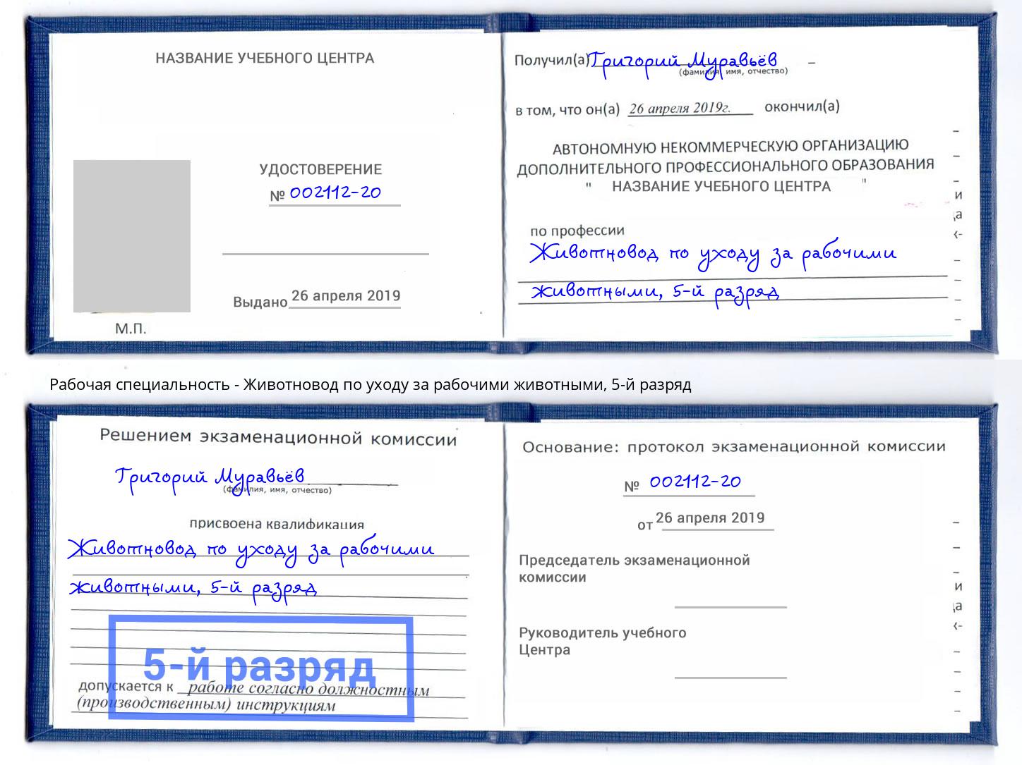 корочка 5-й разряд Животновод по уходу за рабочими животными Пугачёв