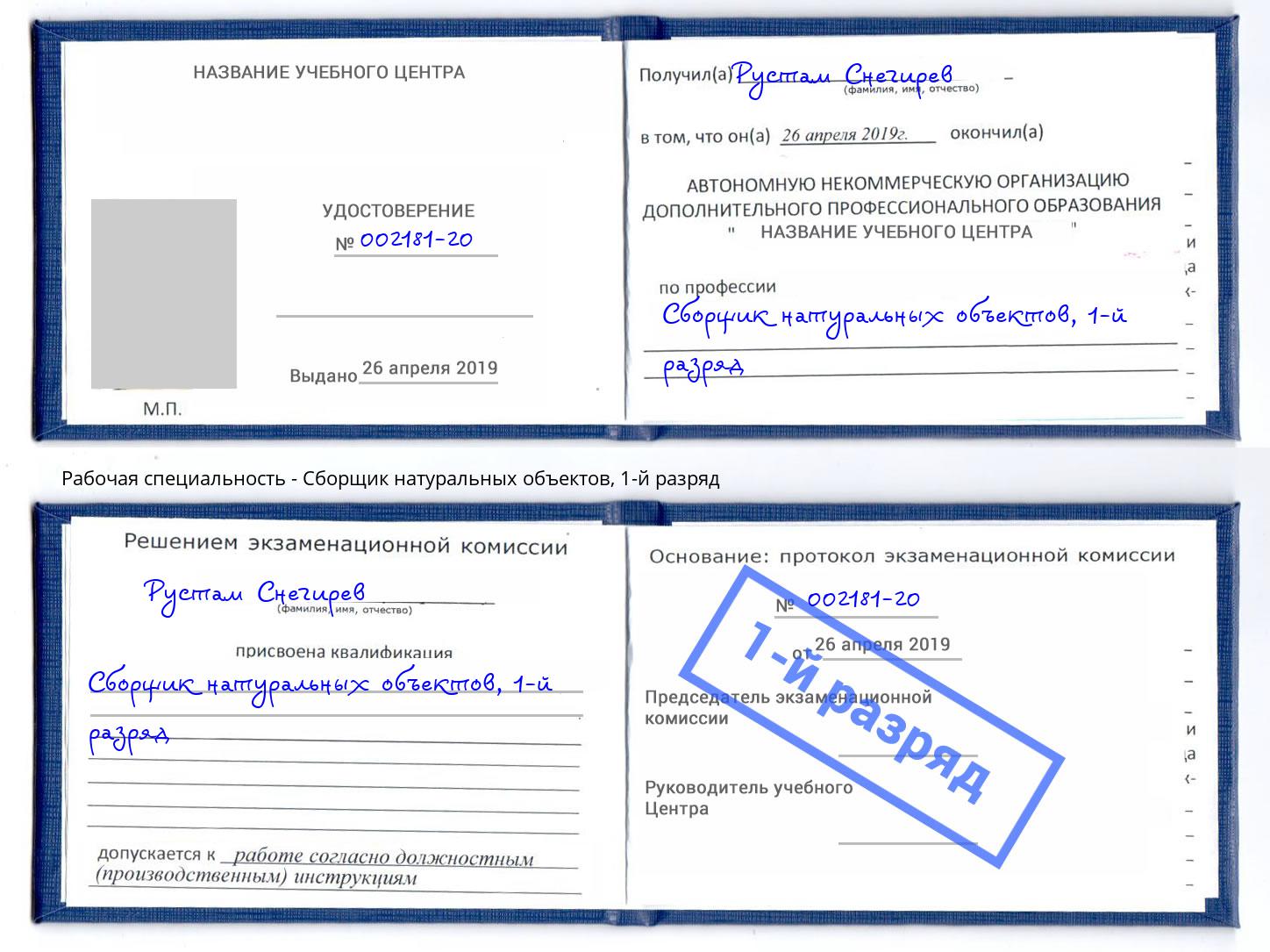 корочка 1-й разряд Сборщик натуральных объектов Пугачёв