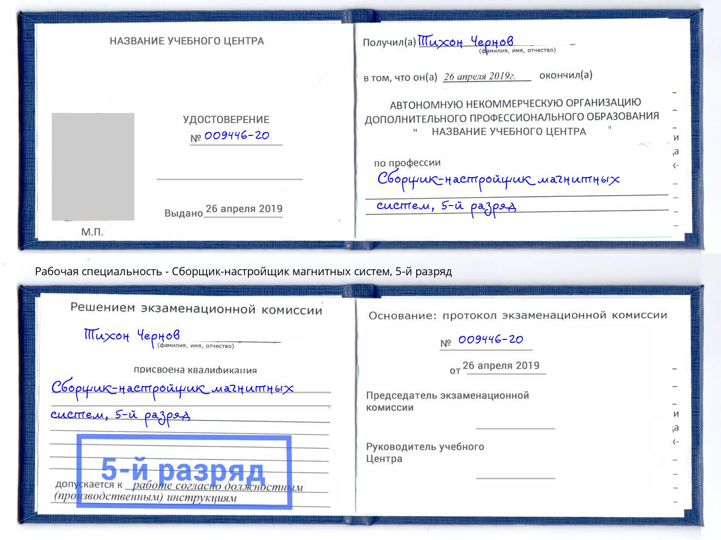 корочка 5-й разряд Сборщик-настройщик магнитных систем Пугачёв
