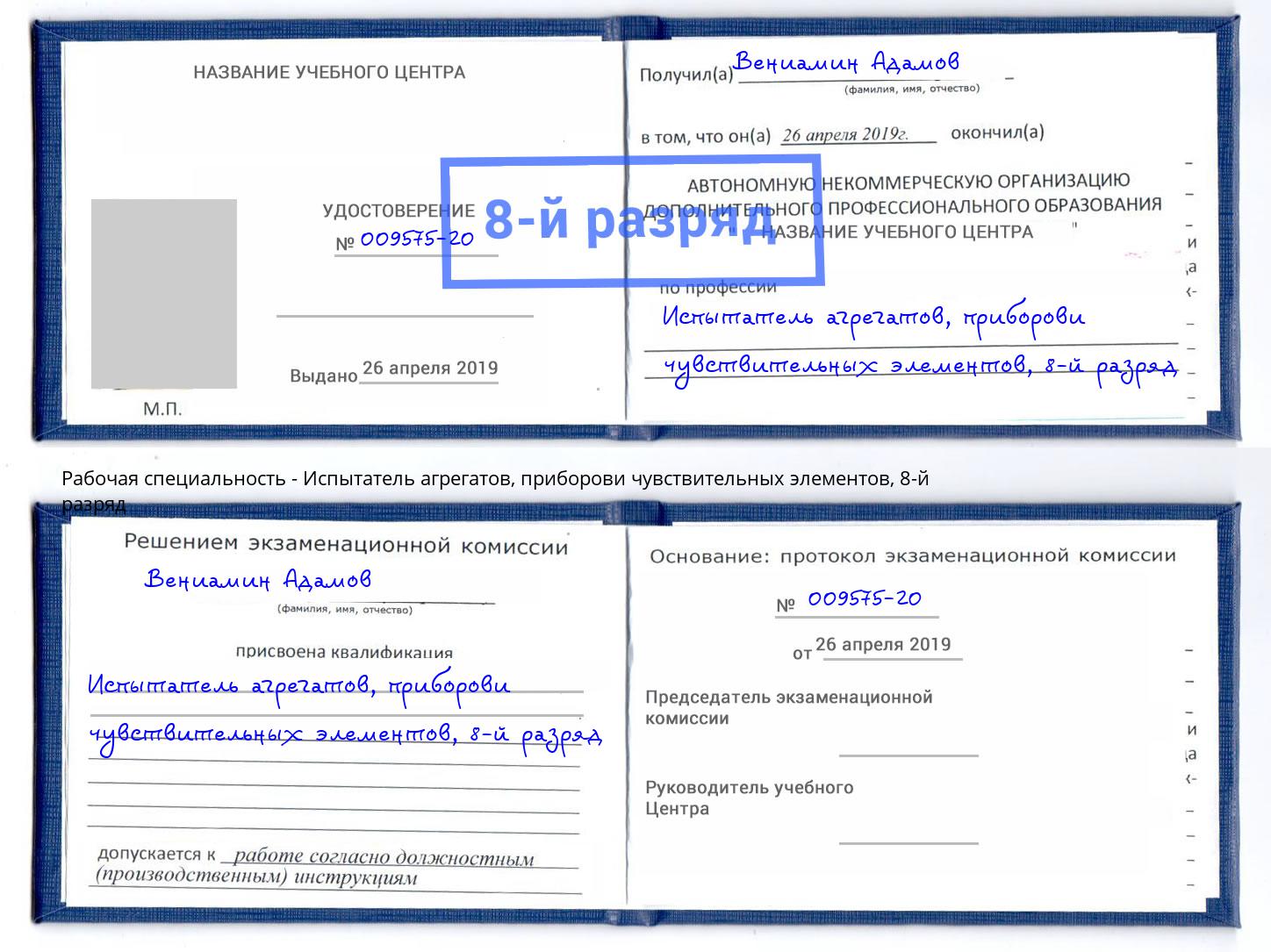 корочка 8-й разряд Испытатель агрегатов, приборови чувствительных элементов Пугачёв